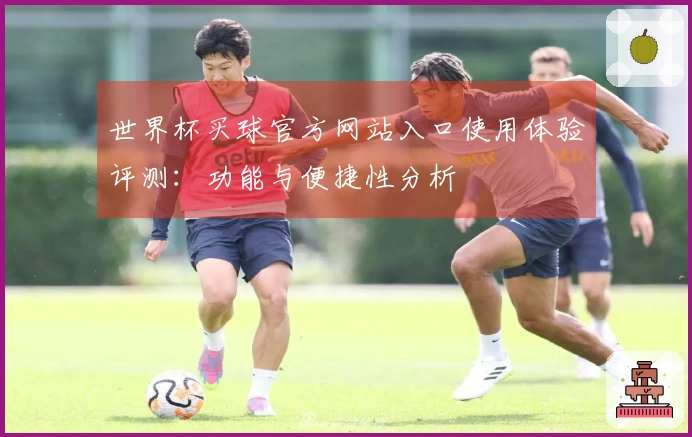 世界杯买球官方网站入口使用体验评测：功能与便捷性分析