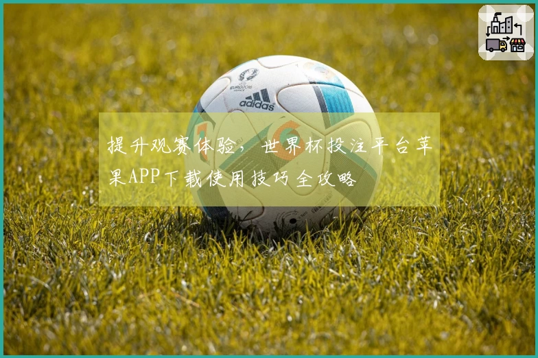 提升观赛体验，世界杯投注平台苹果APP下载使用技巧全攻略