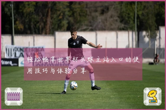 轻松畅享世界杯买球主站入口的使用技巧与体验分享