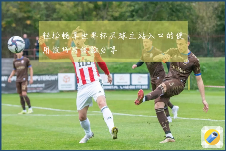 轻松畅享世界杯买球主站入口的使用技巧与体验分享