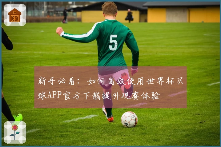 新手必看：如何高效使用世界杯买球APP官方下载提升观赛体验
